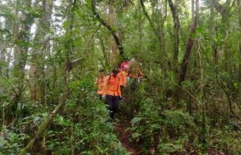 Dikabarkan Hilang, Pendaki Ditemukan Tewas di Jurang Gunung Batukaru