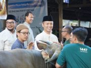 Idul Adha di PLN UID Bali Perkuat Semangat Berbagi dan Kepedulian Sosial untuk Masyarakat