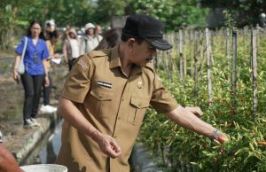 Jaga Stabilitas Harga Jelang Idul Adha, Galungan dan Kuningan, TPID Badung Tinjau Sejumlah Sentra Pangan