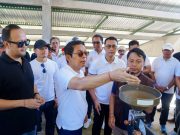 Bupati dan Wabup Badung Genjot Potensi Kopi di Agro Techno Park, Petang