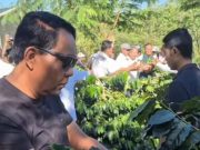 Anom Gumanti Hadiri Panen Kopi Petik Merah di Badung Agro Techno Park Petang