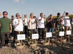 Memuliakan Bumi, Walikota Jaya Negara Ikuti Aksi Tanam 3.000 Pohon Mangrove di Pedungan