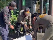 Jaga Ketertiban dan Keindahan, Satpol PP Denpasar Tertibkan 139 Media Promosi yang Terpasang di Fasilitas Umum