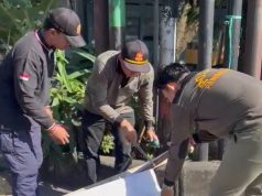 Jaga Ketertiban dan Keindahan, Satpol PP Denpasar Tertibkan 139 Media Promosi yang Terpasang di Fasilitas Umum