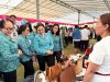 TP PKK Badung Hadiri Pasar Rakyat Provinsi Bali Ke‑5 Tahun 2026 di Bangli