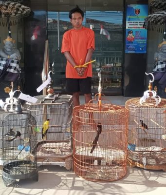 Residivis Kembali Berulah, Gasak Burung Peliharaan di Padangsambian Kelod