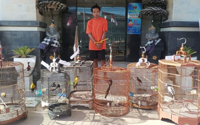 burung
