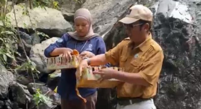 burung2