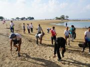 Tak Sekadar Jaga Listrik Andal, PLN UP2D Bali Hadirkan Pantai Bersih bagi Masyarakat Lewat Program Jumat Berdampak