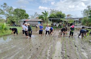 Pemkot Denpasar Gelar Gerakan Tanam Padi Cakrabuana Agritan, Perkuat Ketahanan Pangan Hadapi Musim Kemarau