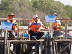 Gubernur Koster Dorong Gerakan Tanam Mangrove Setiap Bulan, Perkuat Ekosistem Pesisir Bali