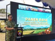 Dukung Swasembada Pangan Nasional, Pangdam IX/Udayana Pimpin Panen Raya TNI di Tabanan