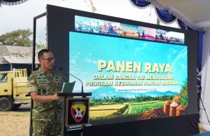 Dukung Swasembada Pangan Nasional, Pangdam IX/Udayana Pimpin Panen Raya TNI di Tabanan
