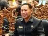 Puspa Negara: PSEL Bukti Perhatian Serius Presiden Prabowo pada Bali