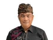 Kadis Kesehatan Bali: Belum Ditemukan Kasus Zika di Provinsi Bali