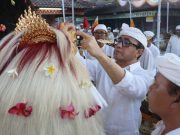Wali Kota Jaya Negara Ikuti Prosesi Ngeratep, Melaspas dan Pasupati Pelawatan Ida Bhatara Pura Puseh Desa Adat Sumerta