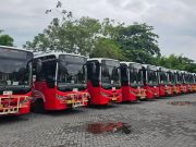 Spesial HUT Provinsi Bali dan HUT RI, Naik Trans Metro Dewata dan Trans Sarbagita Bayar Rp 1.000 dengan QRIS TAP