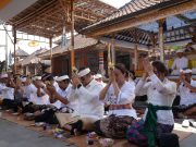 Wabup Bagus Alit Sucipta Ikuti Prosesi Ngetus Ida Betara Tapakan di Pura Dalem Korya