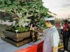Padukan Seni dan Kelestarian Alam, Pemkab Badung dan PPBI Sukses Gelar Kontes Bonsai Skala Nasional