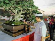 Padukan Seni dan Kelestarian Alam, Pemkab Badung dan PPBI Sukses Gelar Kontes Bonsai Skala Nasional