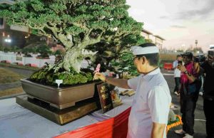 Padukan Seni dan Kelestarian Alam, Pemkab Badung dan PPBI Sukses Gelar Kontes Bonsai Skala Nasional