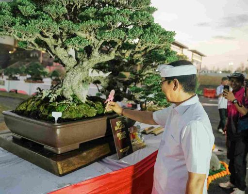 Padukan Seni dan Kelestarian Alam, Pemkab Badung dan PPBI Sukses Gelar Kontes Bonsai Skala Nasional