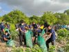 Jelang Tumpek Wayang, Pemprov Bali Gelar Aksi Bersih Sampah Serentak, Kumpulkan 3,56 Ton Sampah di Mangrove Pesanggaran
