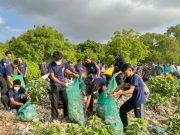 Jelang Tumpek Wayang, Pemprov Bali Gelar Aksi Bersih Sampah Serentak, Kumpulkan 3,56 Ton Sampah di Mangrove Pesanggaran