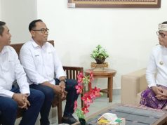 Ada Titik Terang untuk Listrik Nusa Penida, Tambahan Pembangkit Disiapkan