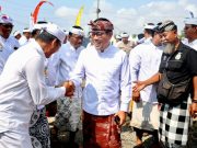 Wawali Arya Wibawa Hadiri Puncak Karya Angasti Puja Atma Wedana Maligia Punggel Desa Adat Kesiman