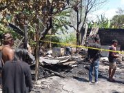 Rumah dan Tempat Potong Ayam di Denpasar Dilalap Api, 4 Kendaraan Terbakar