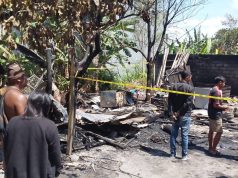 Rumah dan Tempat Potong Ayam di Denpasar Dilalap Api, 4 Kendaraan Terbakar