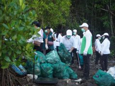 Kolaborasi dengan Sungai Watch dan Relawan, Gerakan Kulkul PKK dan Posyandu Bersihkan Kawasan Hutan Bakau Sidakarya