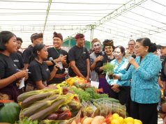 Pasar Rakyat TP PKK Bali di Badung Libatkan 131 Pelaku Usaha, Transaksi Capai Rp322 Juta Dalam Hitungan Jam